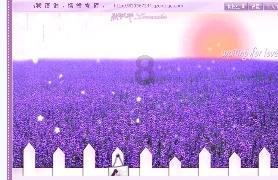 梦幻西游3D